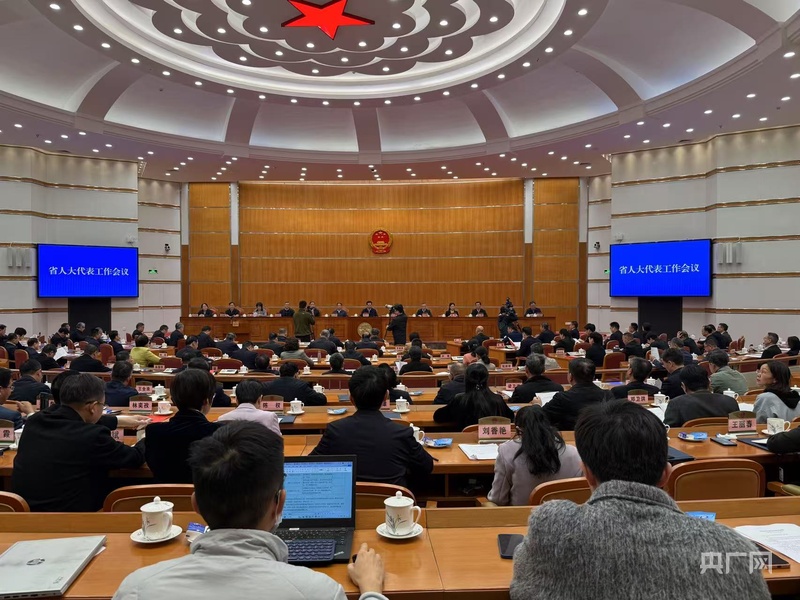 广东启动“察民情惠民生助力百千万·人大代表在行动”主题活动|